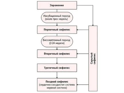 Първите признаци на сифилис