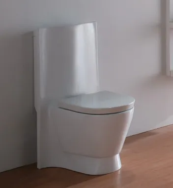 Vas WC cu instrucțiuni video de instalare de scurgere verticală cu mâinile lor, caracteristicile de instalare,