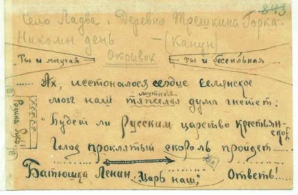 Letters Lenin elvtárs, a történész