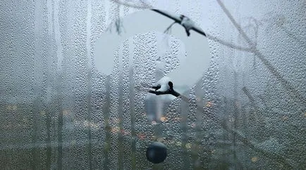 Miért izzad a műanyag ablakok belülről ködképző oka PVC-ablakok