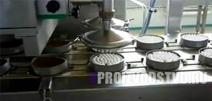Пълният цикъл на организацията на производството на торти - стабилен бизнес в целия мини-завод
