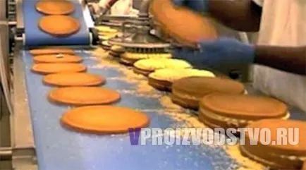 Ciclul complet al organizării producției de prăjituri - de afaceri stabil în întreaga mini-plantă