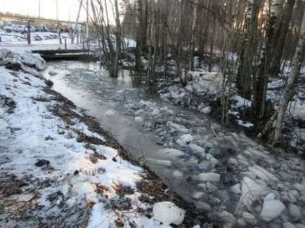 Poligon „Red Forest“ se termină în sol