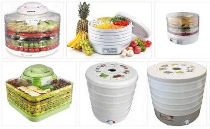 Правила за избор на електрически Dehydrator сушилни за плодове и зеленчуци