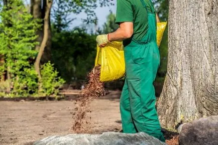 trunchiuri de copaci de pomi fructiferi decor, pat de flori, grădină de flori în jurul valorii, cum de a decora, decora în