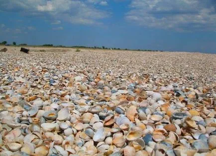 Приморско-Ахтарск почивка на море, описание, настаняване, неща за вършене