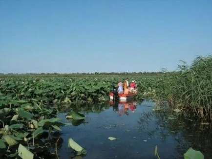 vacanta Primorsko-Akhtarsk pe mare, descriere, cazare, lucruri de făcut