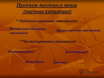 Представяне на концепцията за трудовото право трудовото законодателство - клон на българското законодателство, правила