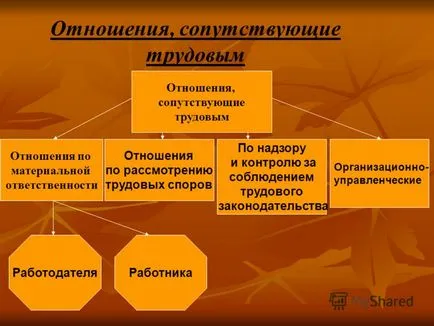 Представяне на концепцията за трудовото право трудовото законодателство - клон на българското законодателство, правила
