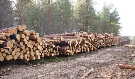 Projektek gerendaházak és fürdő, az építési vágott házak alatt a kulcs