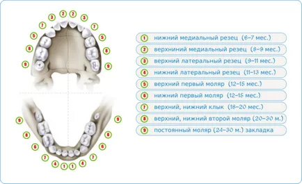 Изригване на молари в детските симптоми, детайли