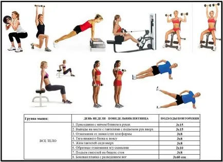 Програмата за обучение за тип момичета тяло
