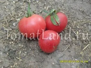 soiuri rare de tomate