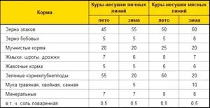 Рецепти на фураж за кокошки носачки с техните ръце състав за кокошки и пилета, както и месо и костно брашно