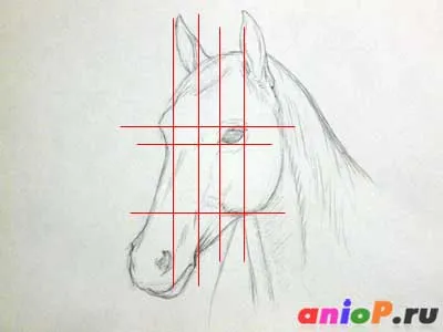 Desenați capul unui cal cu creioane acuarelă