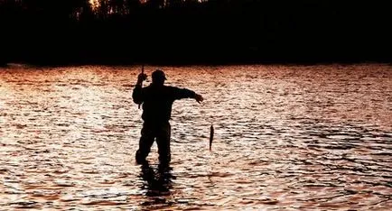 Rețete de la lakedry (Yellowtail) - preparate din pește, rețete