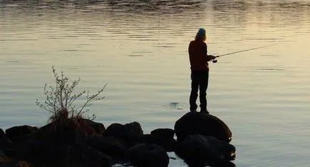 Receptek a lakedry (yellowtail) - halételek, receptek