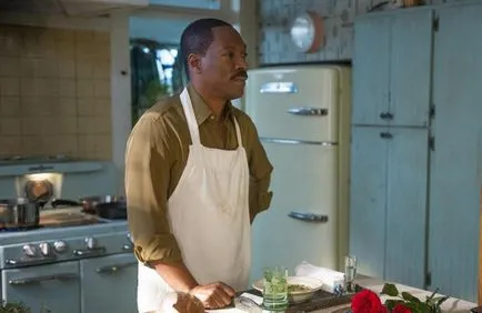 Revizuirea filmului „Mr. Church» (mr