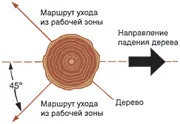 Садко - работа с моторен трион, как да се намали дървета