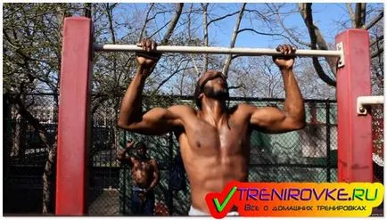 Exerciții de pe bara orizontală și barele paralele - pentru începători în presă și musculare, puterea, video