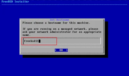 FreeBSD telepítéséhez és GUI usb stick, lyapidov