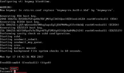 FreeBSD telepítéséhez és GUI usb stick, lyapidov