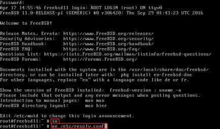 Instalați FreeBSD și GUI cu stick USB, lyapidov