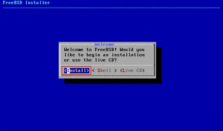 FreeBSD telepítéséhez és GUI usb stick, lyapidov