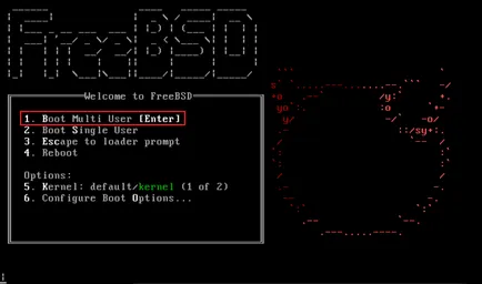 FreeBSD telepítéséhez és GUI usb stick, lyapidov