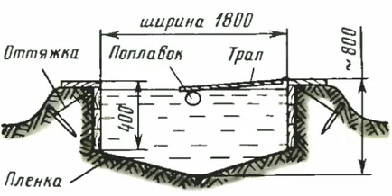 Домашна езерце за патици