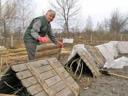 Особено засаждане на разсад клематис и грижи за разрастването на технологичното