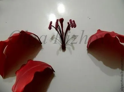 Asamblarea tesatura flori de crin (atelier foto) - Masters Fair - manual, lucrate manual