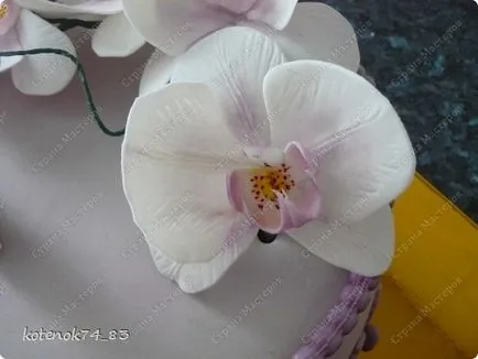 Захар орхидея, без да излизате майстори страни