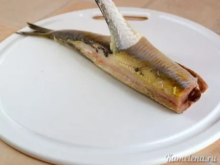 Herring alatt bunda