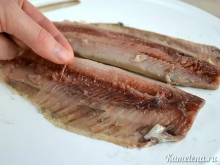 Herring alatt bunda