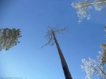 Skalník Knight hétvége Olkhinskoye plató! Prospect vágyak