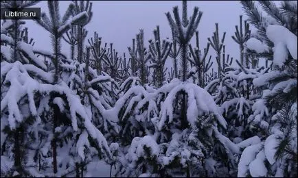 Сняг покрива земята