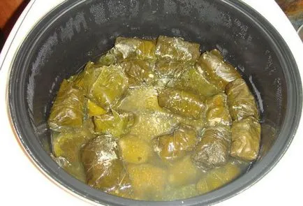 Cum de a găti Dolma frunze de struguri