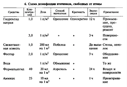 Съдържанието на пъдпъдък през зимата в плевнята