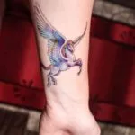 Pegasus tattoo érték lányok és a fiúk, vázlatok és képek a tetoválás