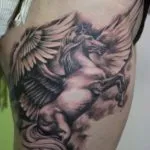 Pegasus tattoo érték lányok és a fiúk, vázlatok és képek a tetoválás