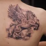 Pegasus tattoo érték lányok és a fiúk, vázlatok és képek a tetoválás