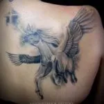 Pegasus tattoo érték lányok és a fiúk, vázlatok és képek a tetoválás