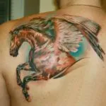 Pegasus tattoo érték lányok és a fiúk, vázlatok és képek a tetoválás