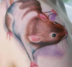 Tattoo Mouse értéke fotók, vázlatok
