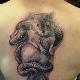 Tattoo egér, patkány, jelentését - a szó egy szimbólum, a lányok és fiúk