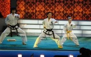 Taekwondo și taekwondo