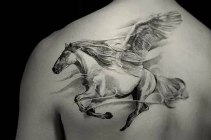 Pegasus tattoo érték lányok és a fiúk, vázlatok és képek a tetoválás