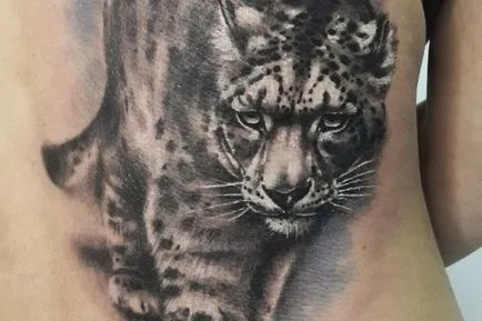 Leopard tatuaj - adica fotografii - barăci tatuaj studio