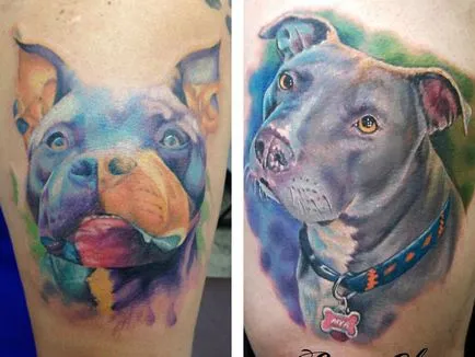 Tatuaj Pitbull - valoare desene sau modele tatuaj și fotografii